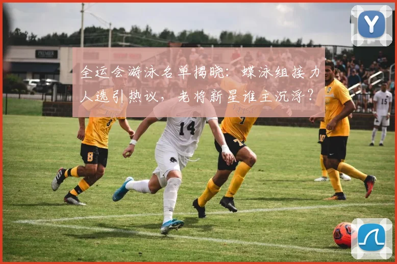 全运会游泳名单揭晓：蝶泳组接力人选引热议，老将新星谁主沉浮？