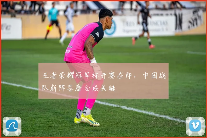 王者荣耀冠军杯开赛在即，中国战队新阵容磨合成关键